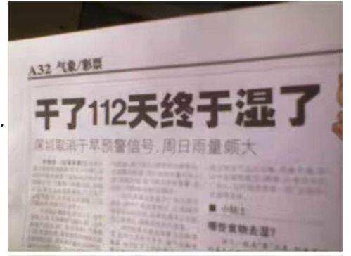 农村爆料标题大全最新新闻,揭秘最新农村热点事件背后的真相