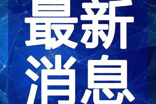 小花加油最新爆料视频大全,精彩瞬间尽收眼底